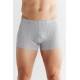 ALBERO Herren Retroshorts grau