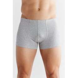 ALBERO Herren Retroshorts grau