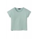 Recolution T-Shirt Alocasia peppermint green