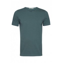 Greenbomb Basic  - spice midnight stripes