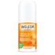 Weleda Deodorant  Duindoorn 24H roll-on