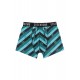 Greenbomb Trunk Bike Stripes Diagonal Mix Blue