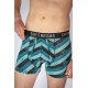 Greenbomb Trunk Bike Stripes Diagonal Mix Blue