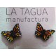 La Tagua Malambito Stud vlinder Totumo