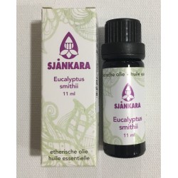Sjankara EO Eucalyptus Smithii bio 11ml